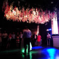 Romantisch Dansen
